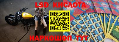 соль ск Новозыбков