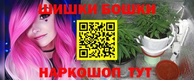 соль ск Новозыбков