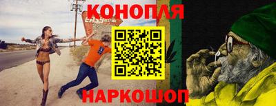 соль ск Новозыбков