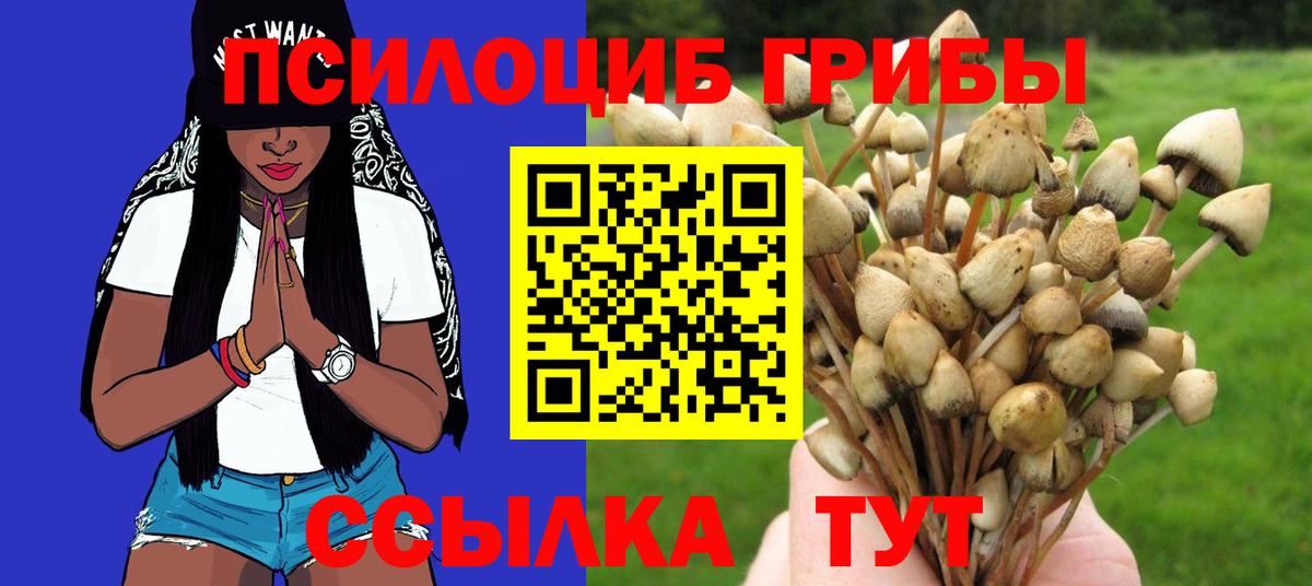 Пыть-Ях  Галлюциногенные грибы прущие грибы  Псилоцибиновые грибы GOLDEN TEACHER  Вход с VPN 